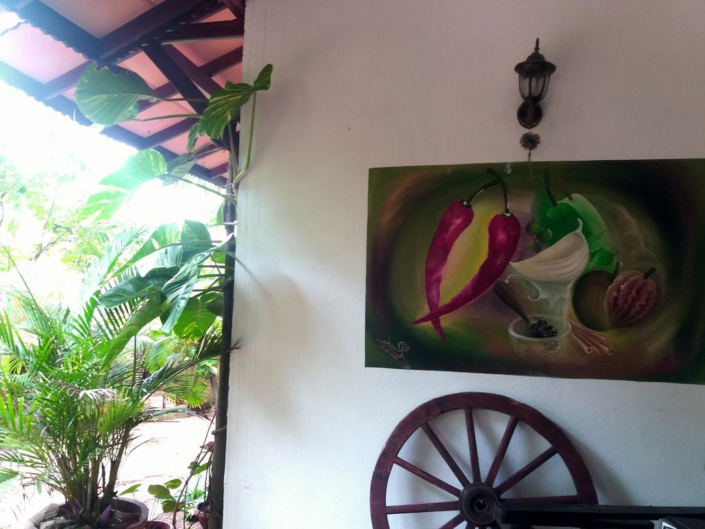 Peacock Wings Guest Hotel Мириса Екстериор снимка
