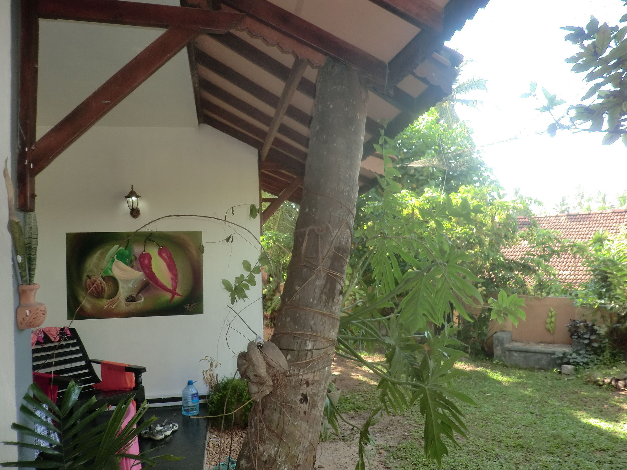 Peacock Wings Guest Hotel Мириса Екстериор снимка