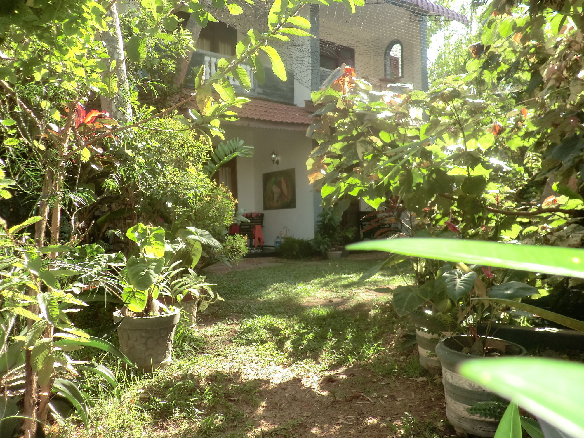 Peacock Wings Guest Hotel Мириса Екстериор снимка